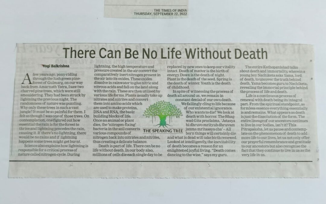 There can be no life without death